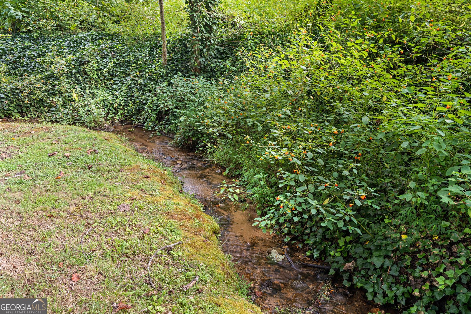 5432 Wolffork Road Rabun Gap - Photo 64