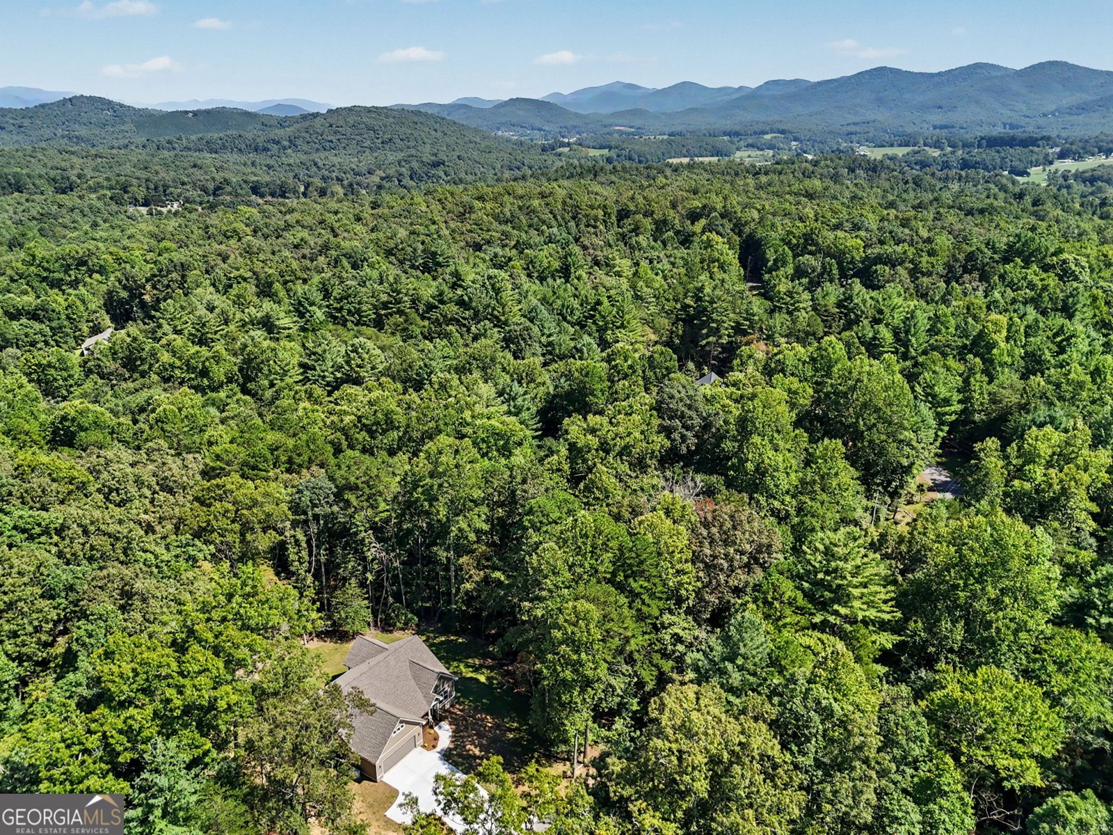 329 Hawks Nest Dr. Blairsville - Photo 51