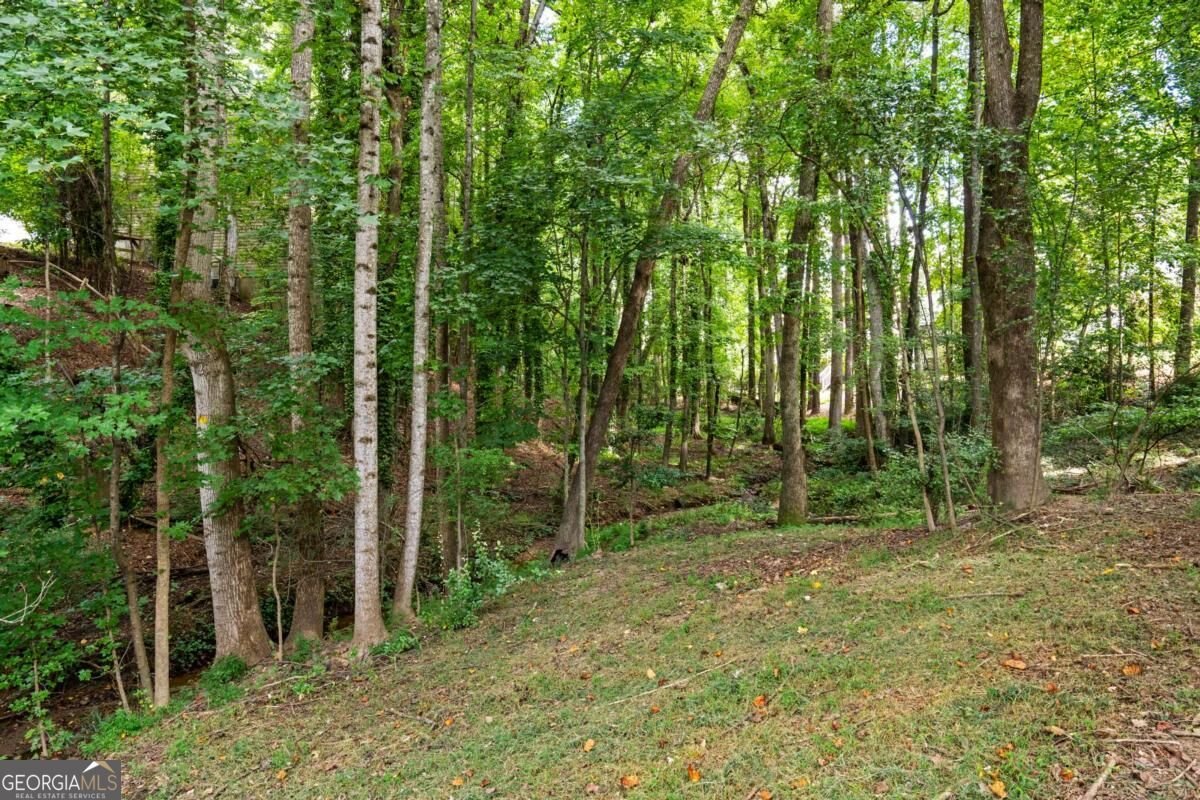 3590 Patterstone Drive Johns Creek - Photo 42