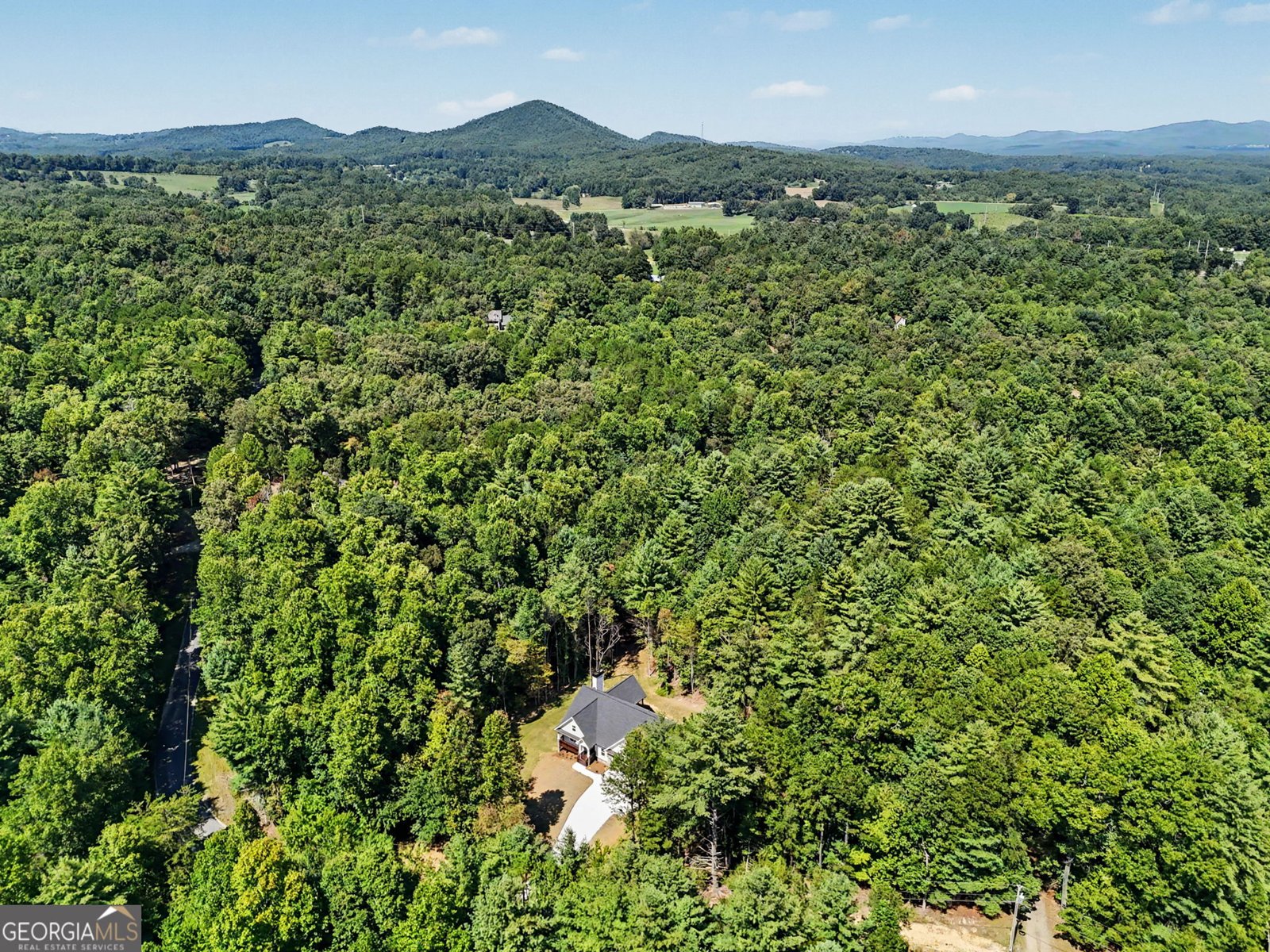443 Hawks Nest Dr. Blairsville - Photo 58