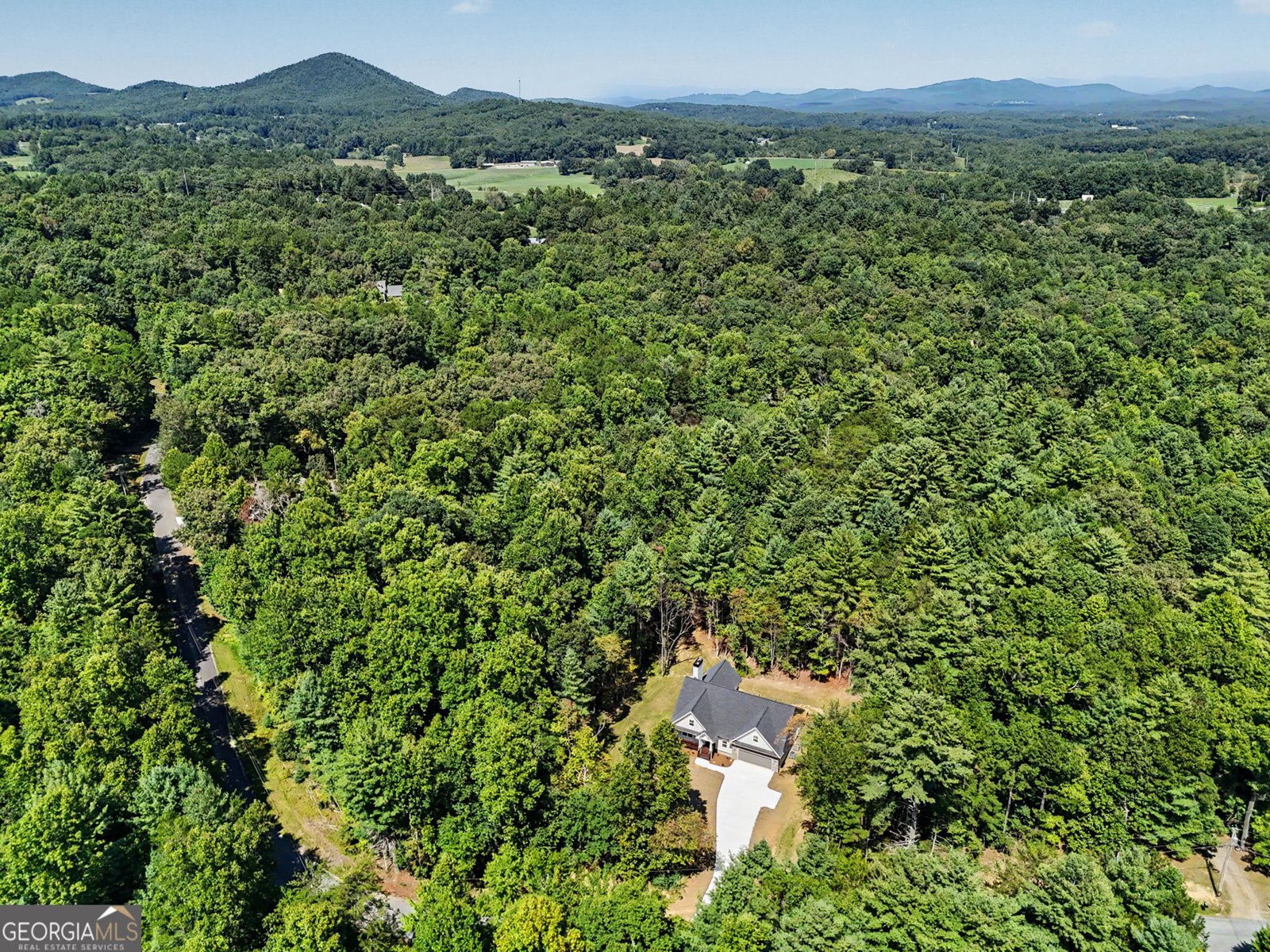 443 Hawks Nest Dr. Blairsville - Photo 59