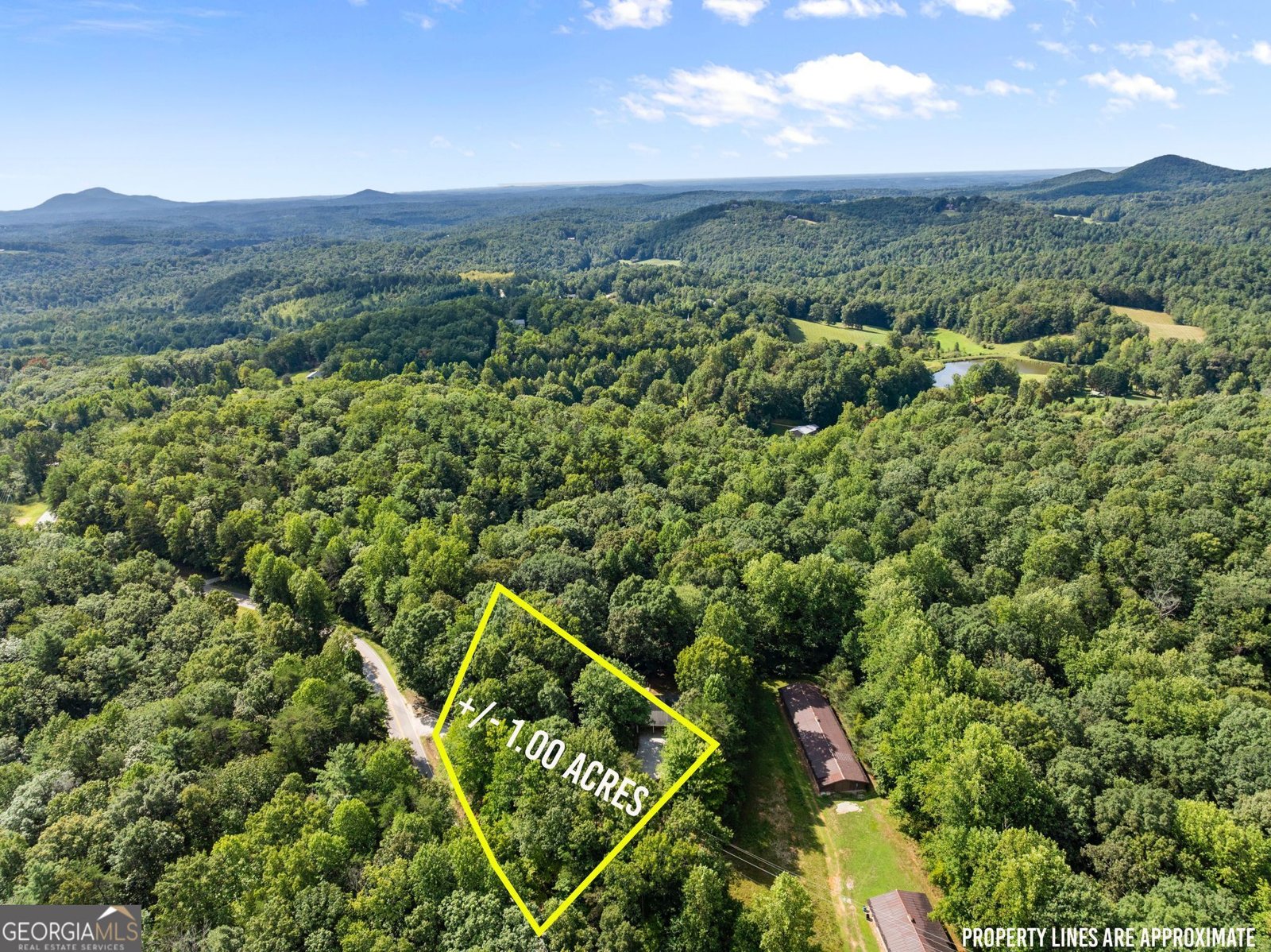 5013 Porter Springs Road Dahlonega - Photo 49