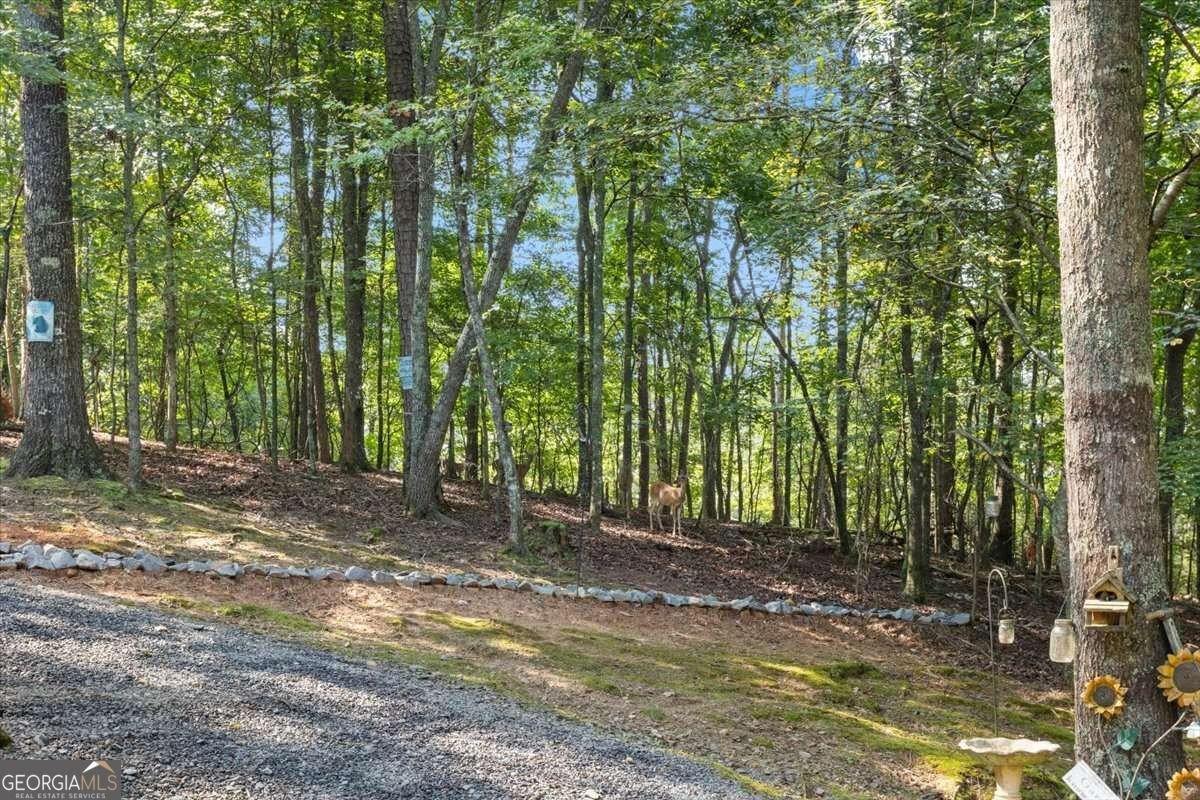 289 Cypress Circle Ellijay - Photo 30