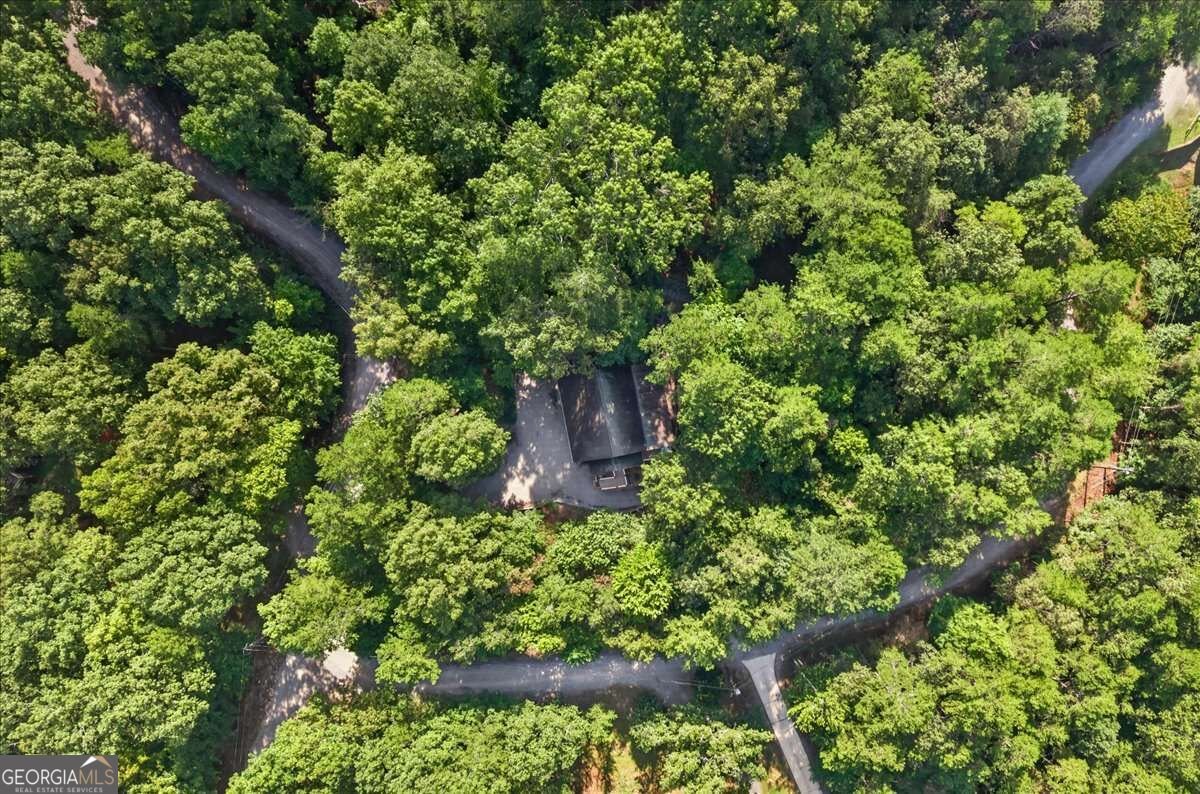 289 Cypress Circle Ellijay - Photo 32
