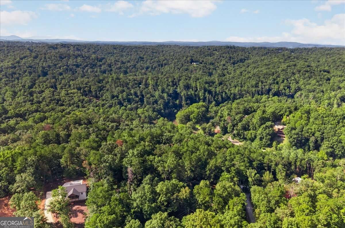289 Cypress Circle Ellijay - Photo 34