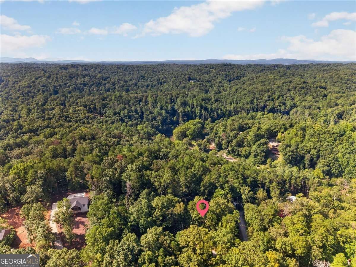 289 Cypress Circle Ellijay - Photo 35