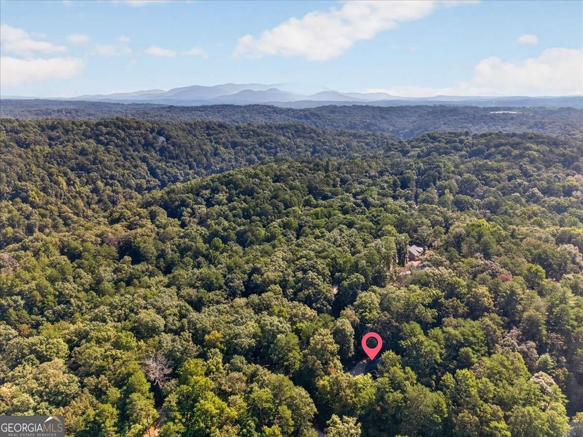 289 Cypress Circle Ellijay - Photo 36