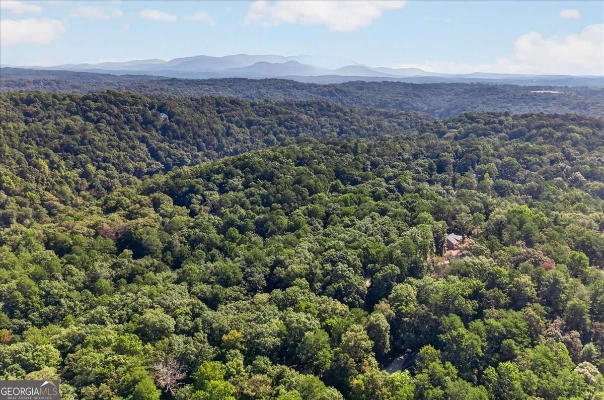 289 Cypress Circle Ellijay - Photo 37