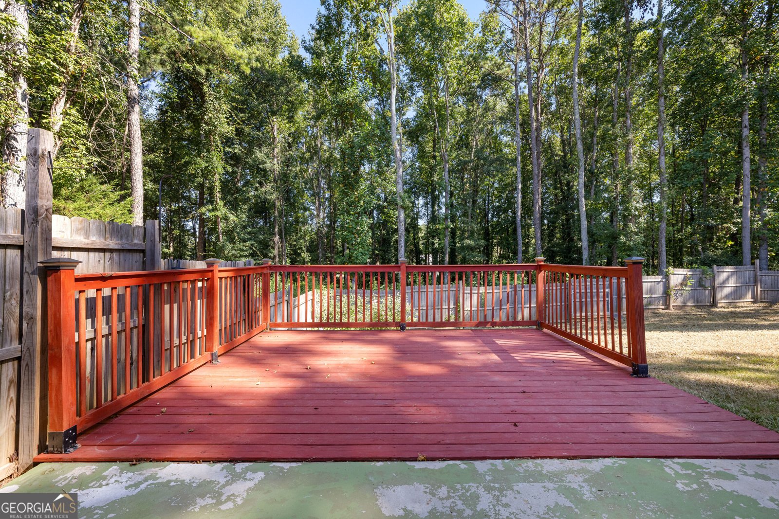 185 Hayward Bishop Way Senoia - Photo 34