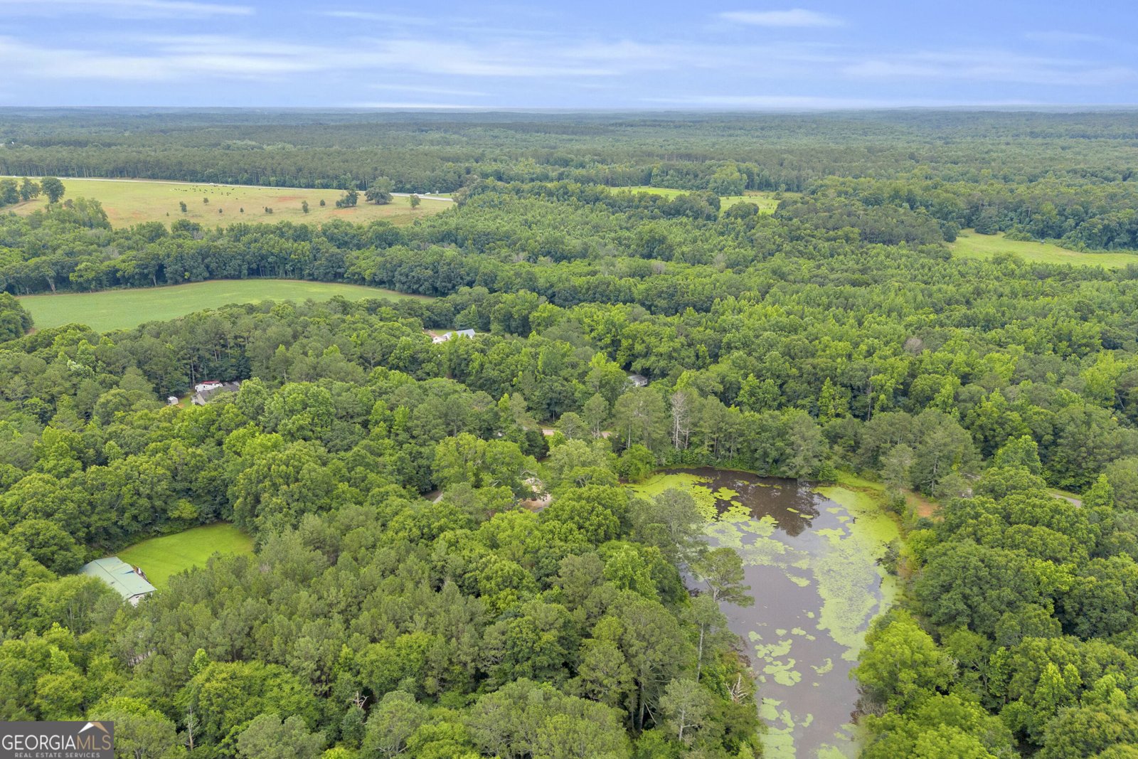 145 Joe Carey Road Winterville - Photo 51