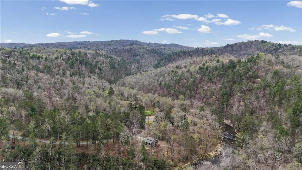 496 Meadow Lane Talking Rock - Photo 46