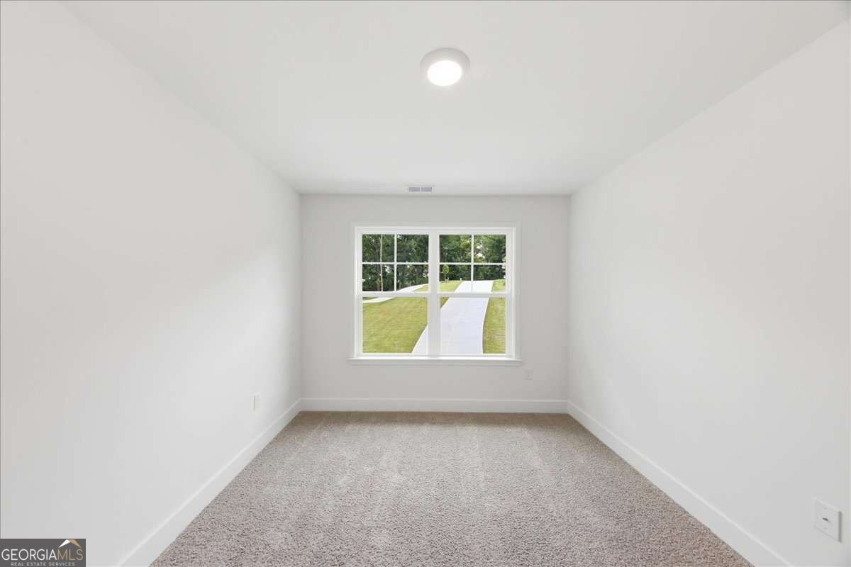 5325 Vinci Place Douglasville - Photo 26