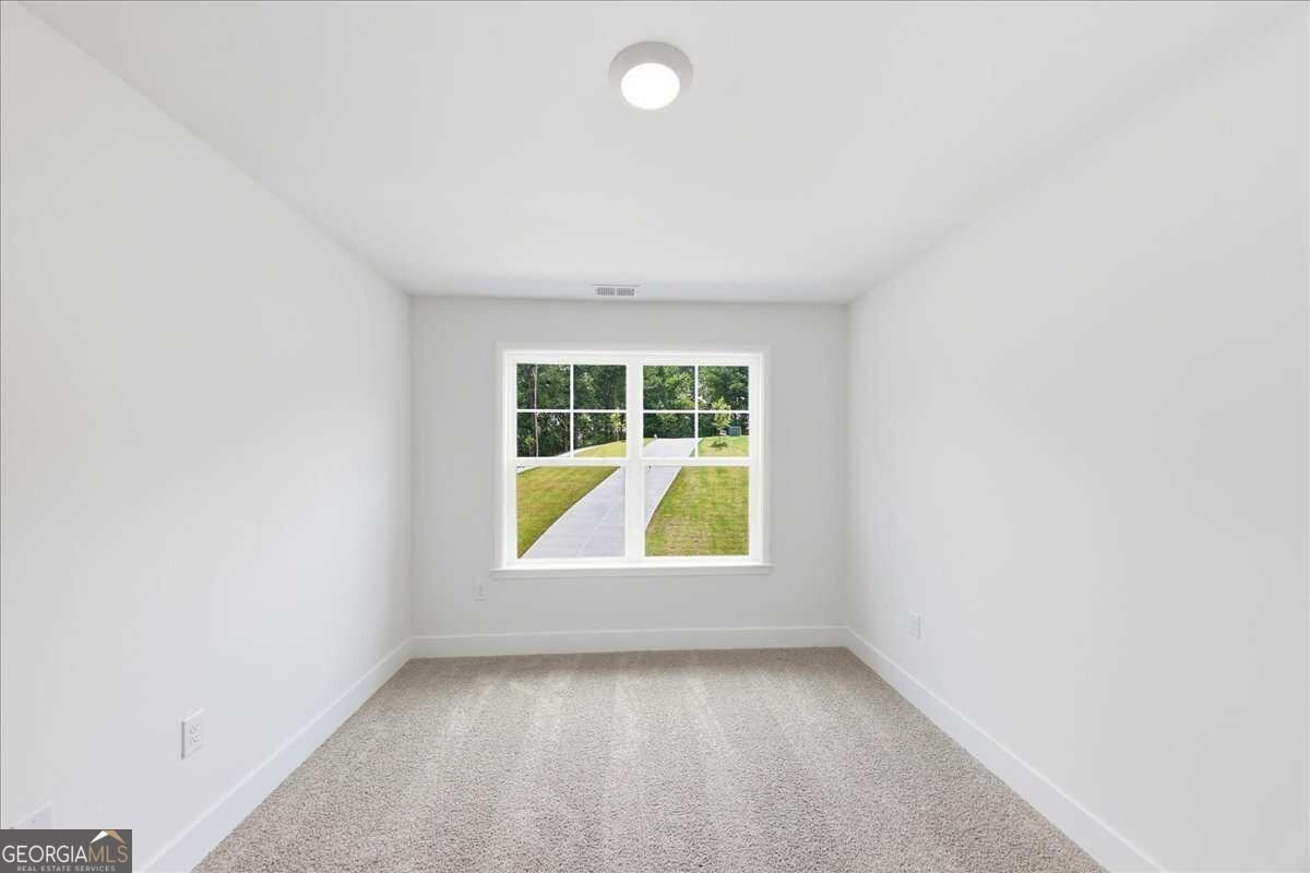 5325 Vinci Place Douglasville - Photo 28