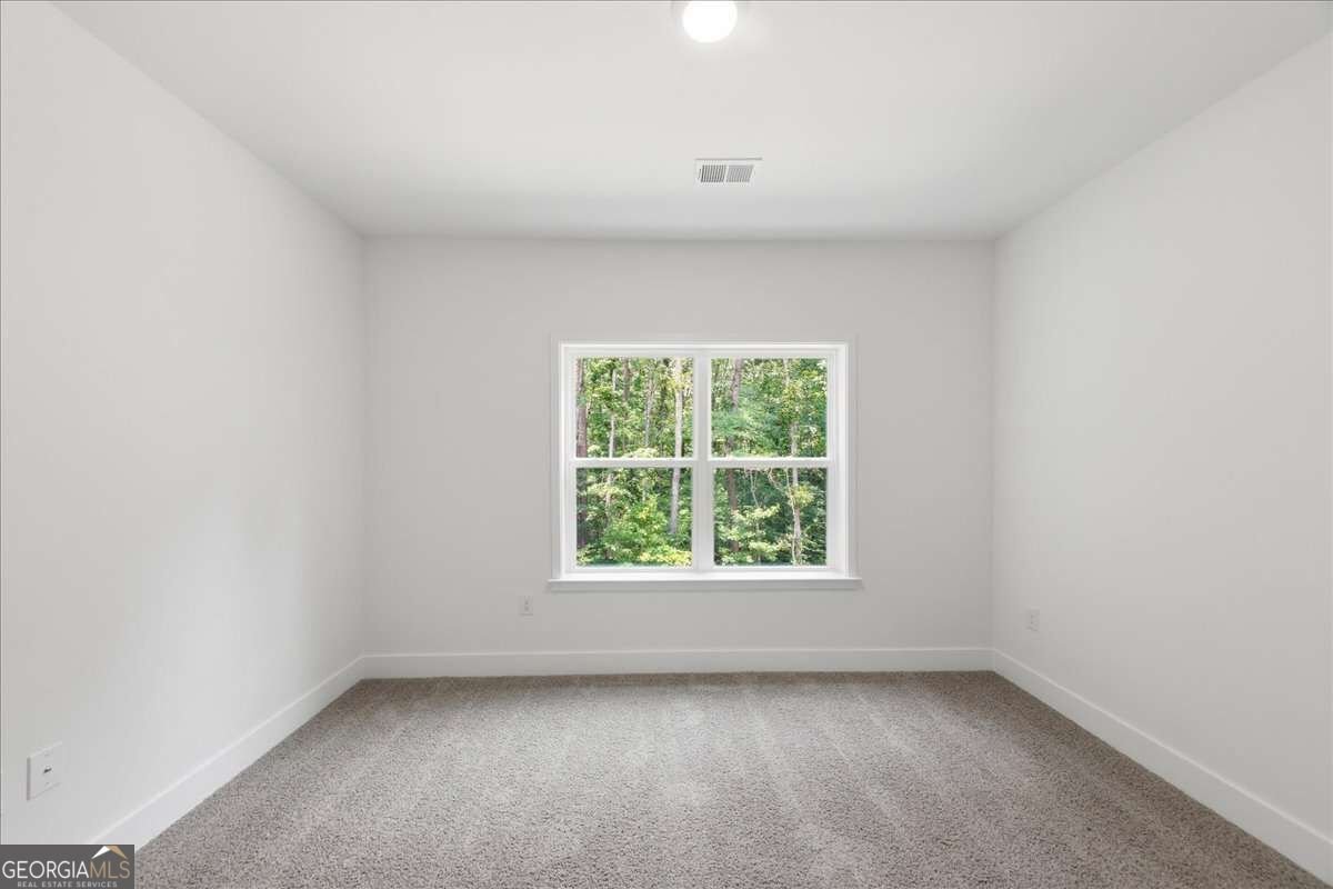 5325 Vinci Place Douglasville - Photo 36