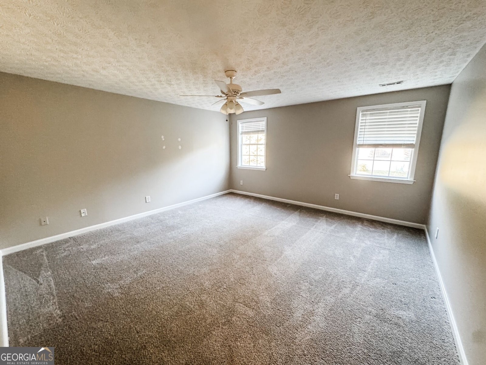 85 Rock Mill Trail Senoia - Photo 10