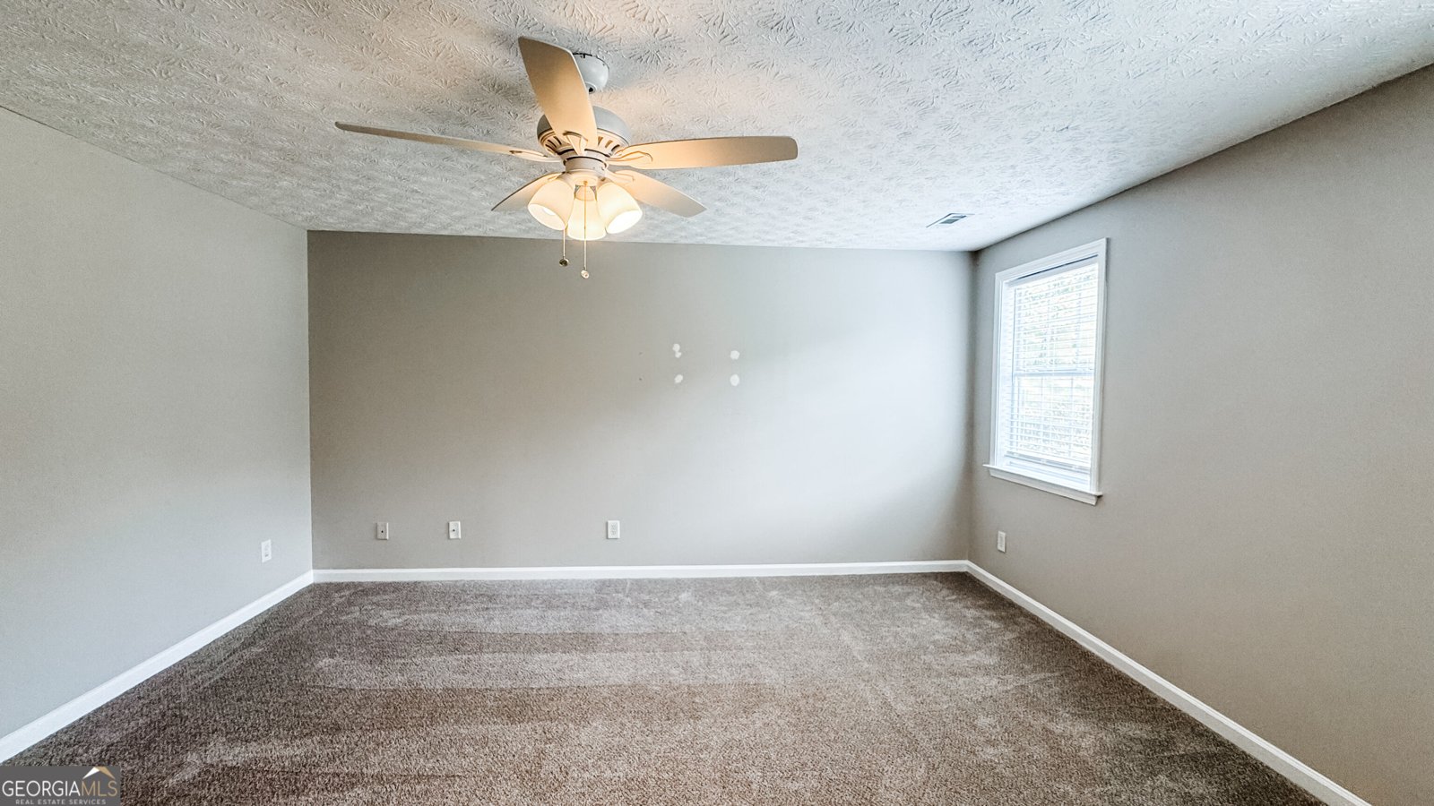 85 Rock Mill Trail Senoia - Photo 32