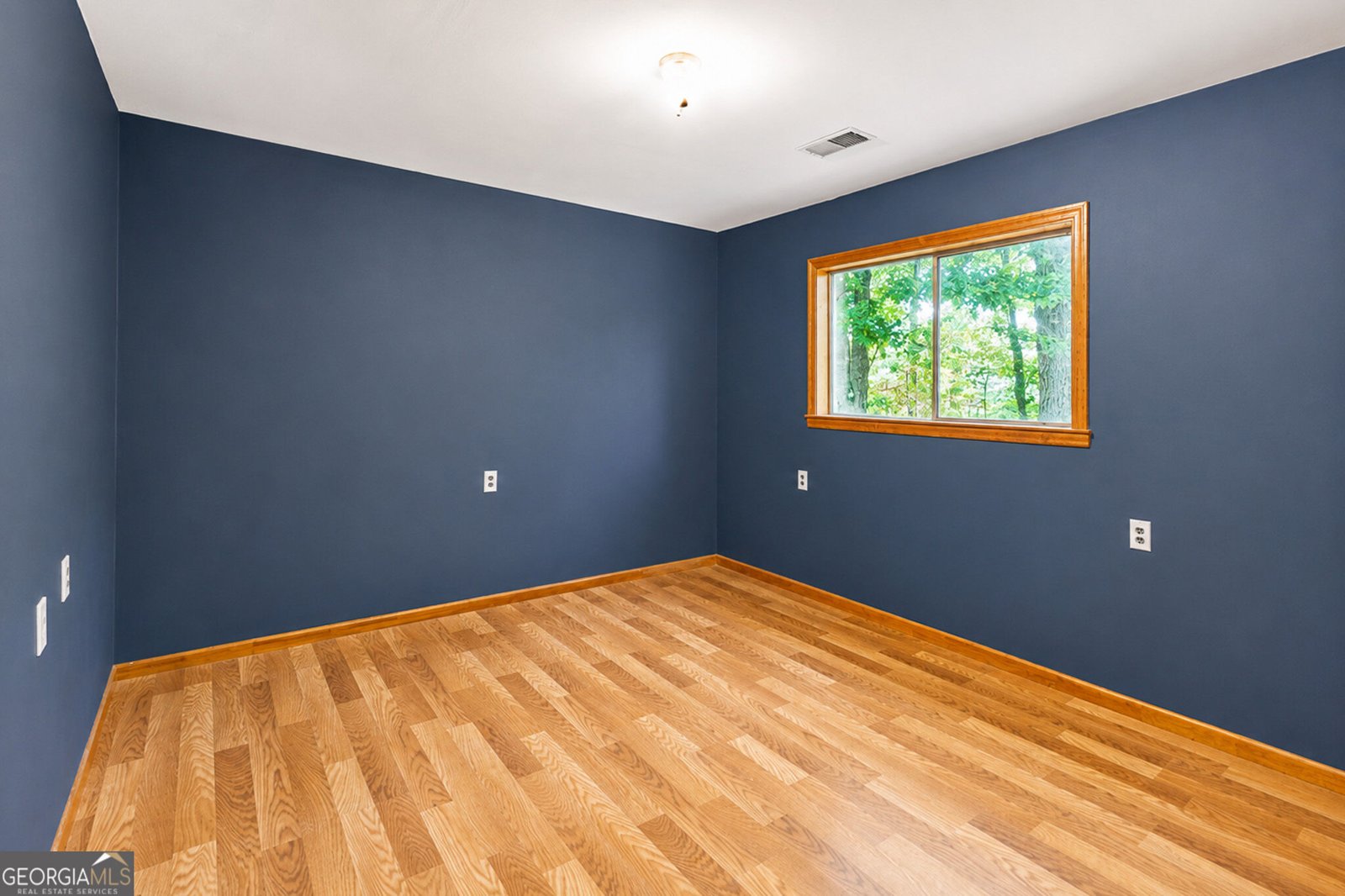 523 Cannon Road La Fayette - Photo 14