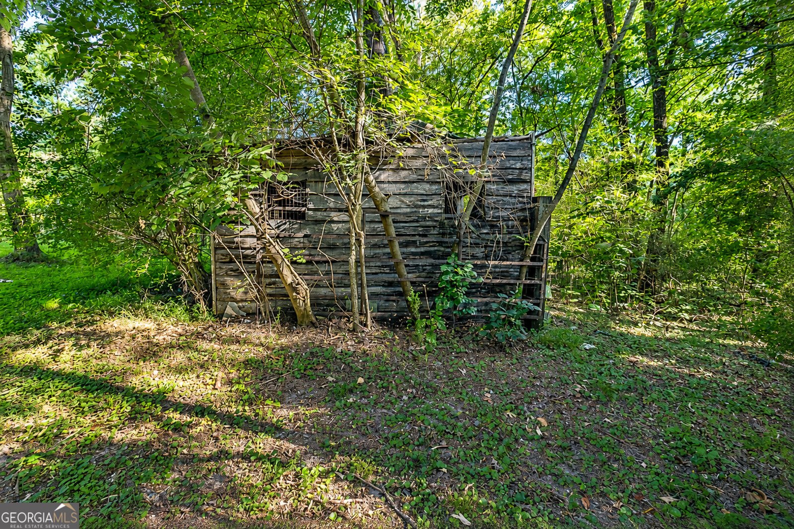 523 Cannon Road La Fayette - Photo 36
