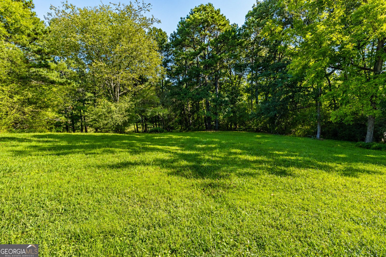 523 Cannon Road La Fayette - Photo 40