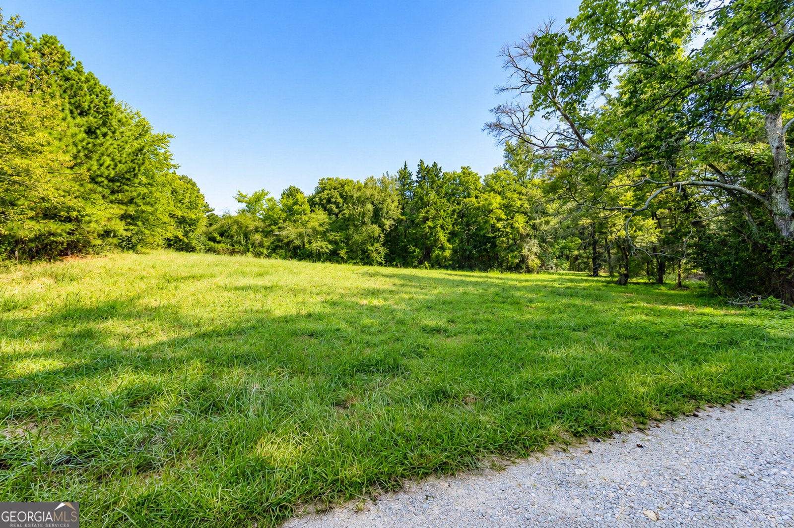 523 Cannon Road La Fayette - Photo 53