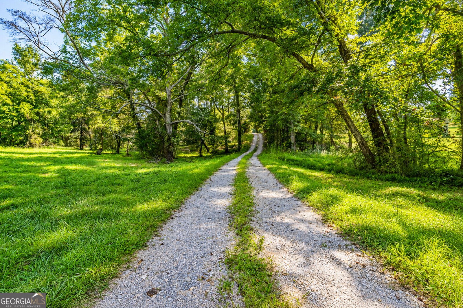 523 Cannon Road La Fayette - Photo 9