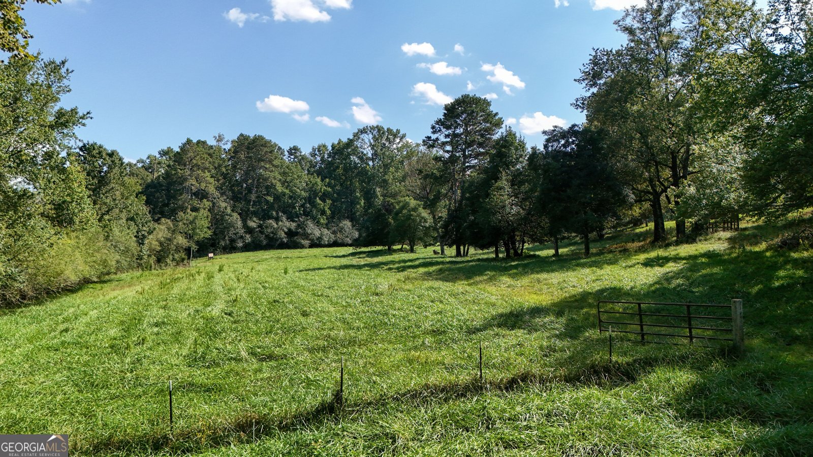 448 Dixie Meadow Lane Mount Airy - Photo 53