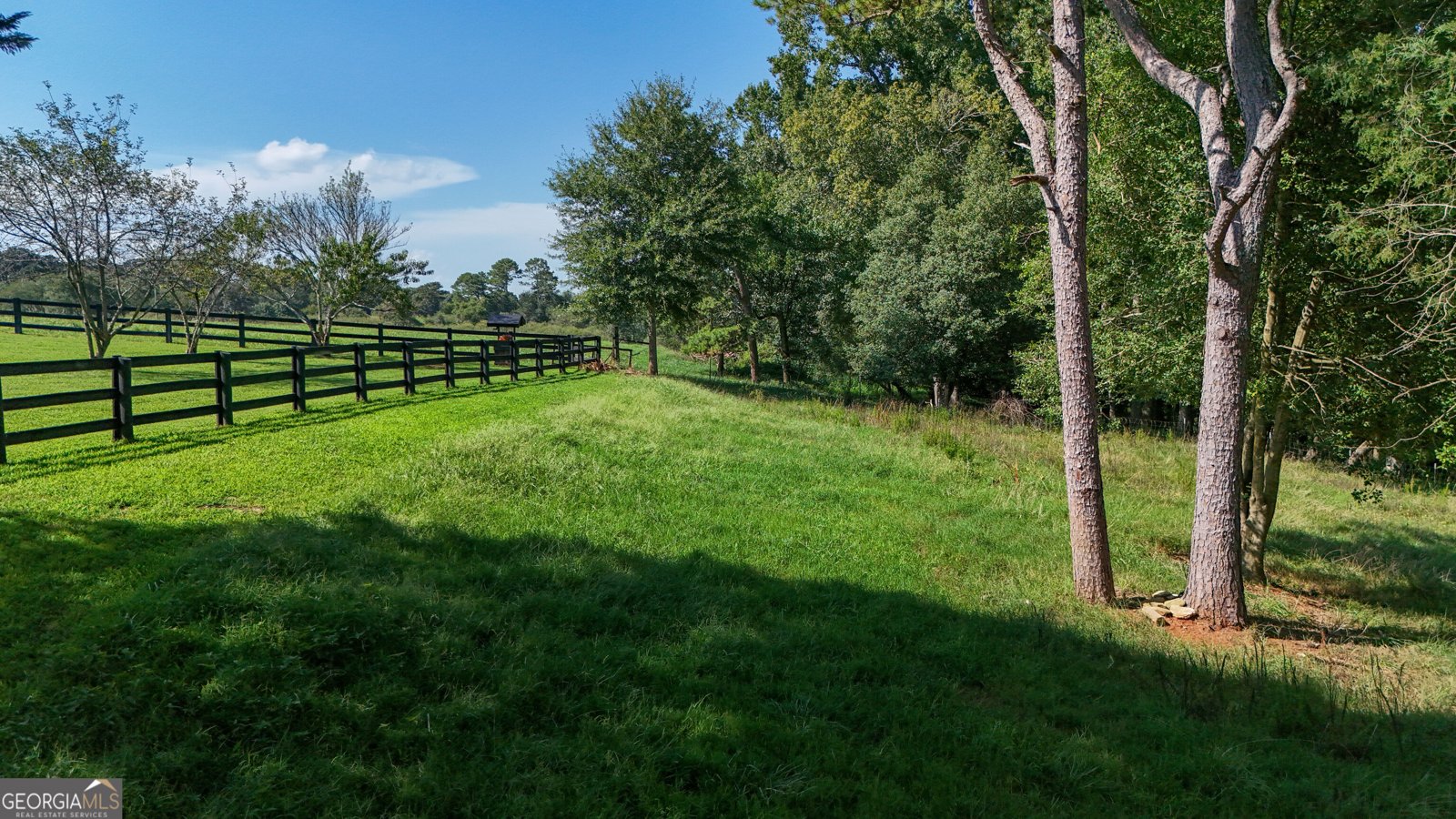 448 Dixie Meadow Lane Mount Airy - Photo 55