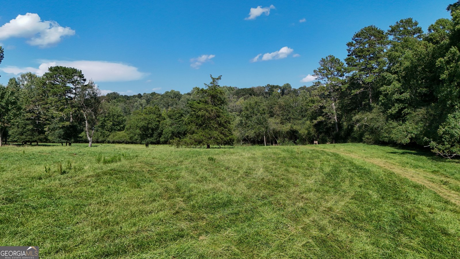 448 Dixie Meadow Lane Mount Airy - Photo 59