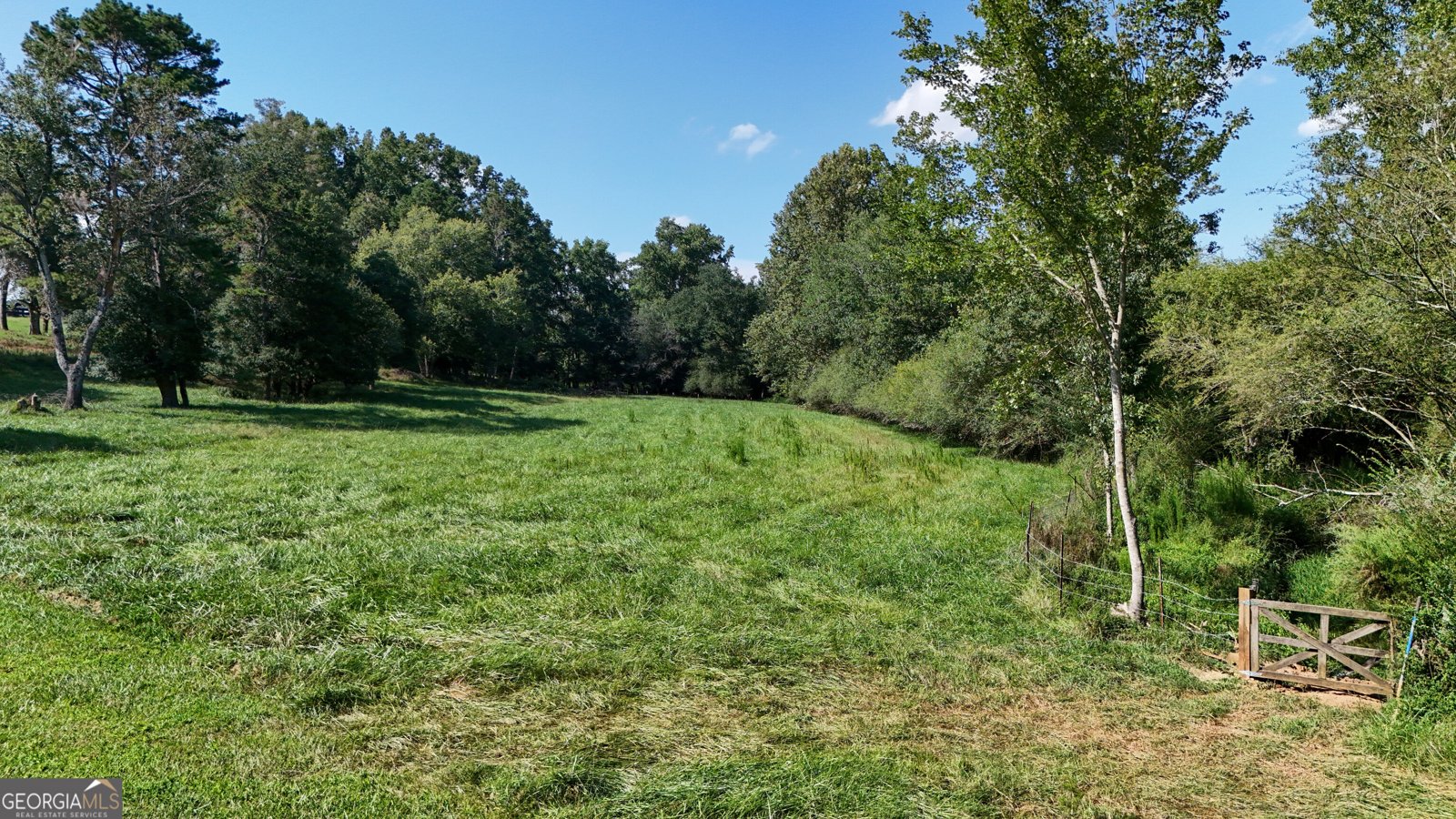 448 Dixie Meadow Lane Mount Airy - Photo 61