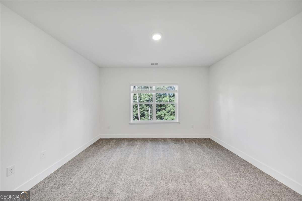 5345 Vinci Place Douglasville - Photo 18