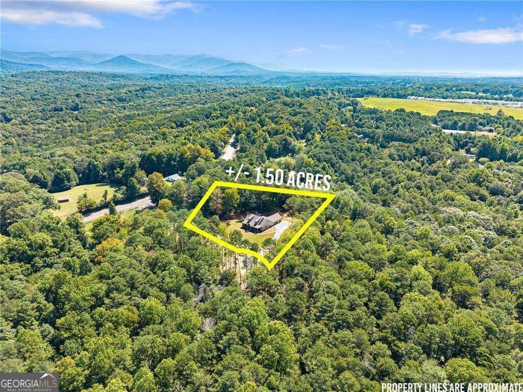 75 Lowe Lane Talking Rock - Photo 41