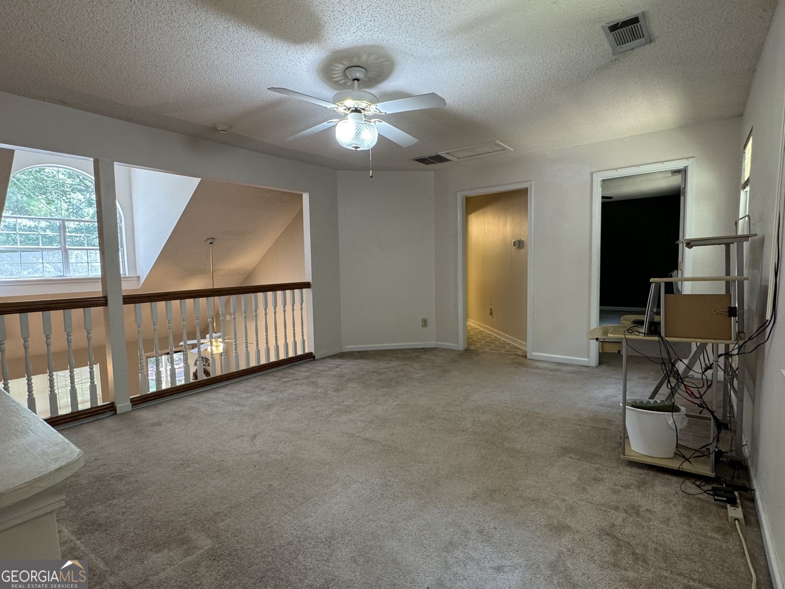 207 Williamsburg Circle McDonough - Photo 28
