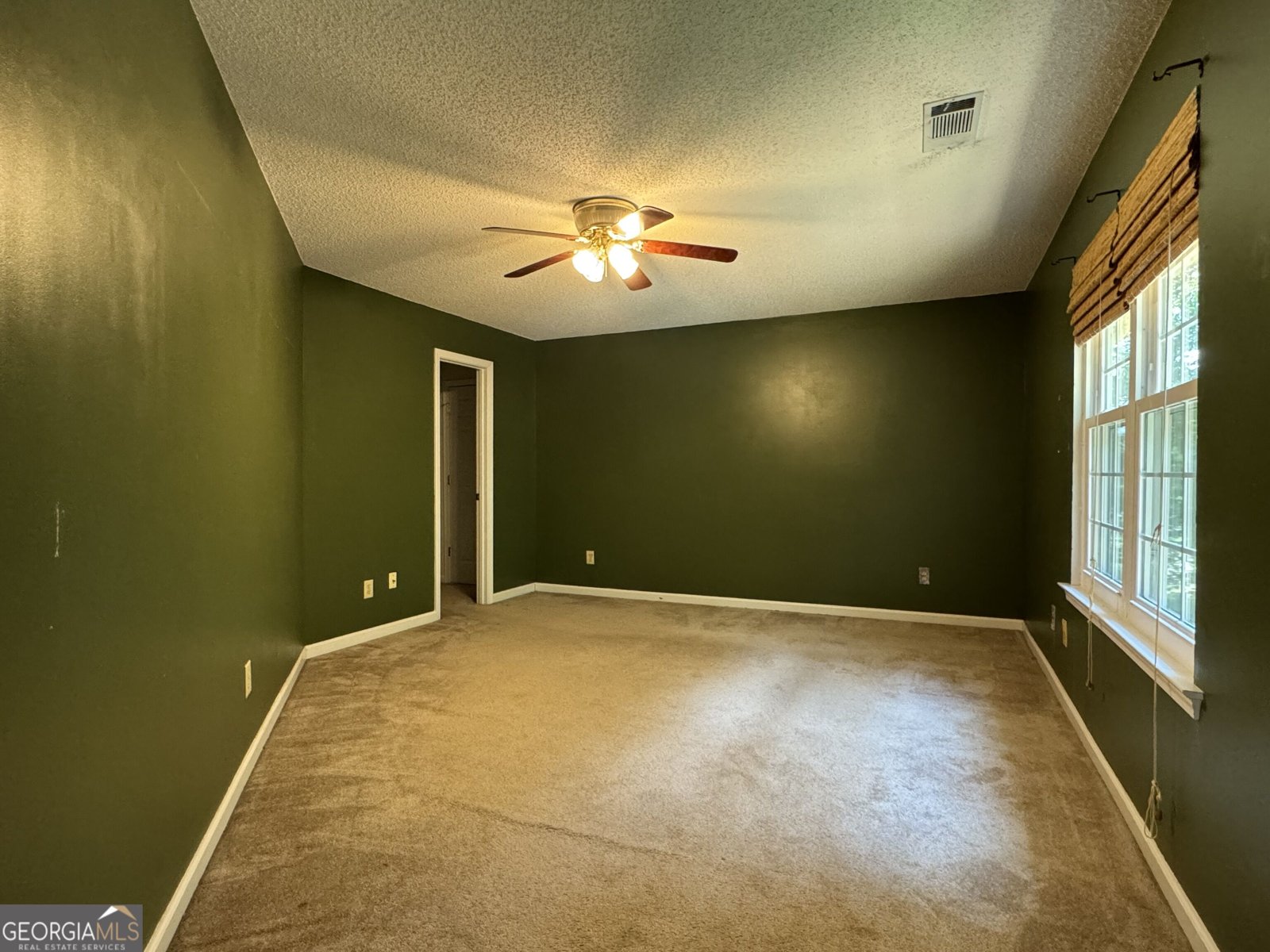 207 Williamsburg Circle McDonough - Photo 31