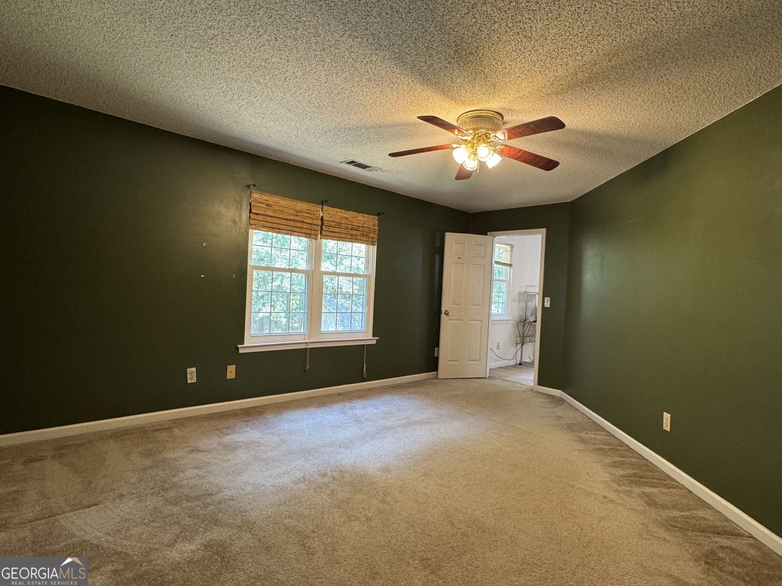 207 Williamsburg Circle McDonough - Photo 33