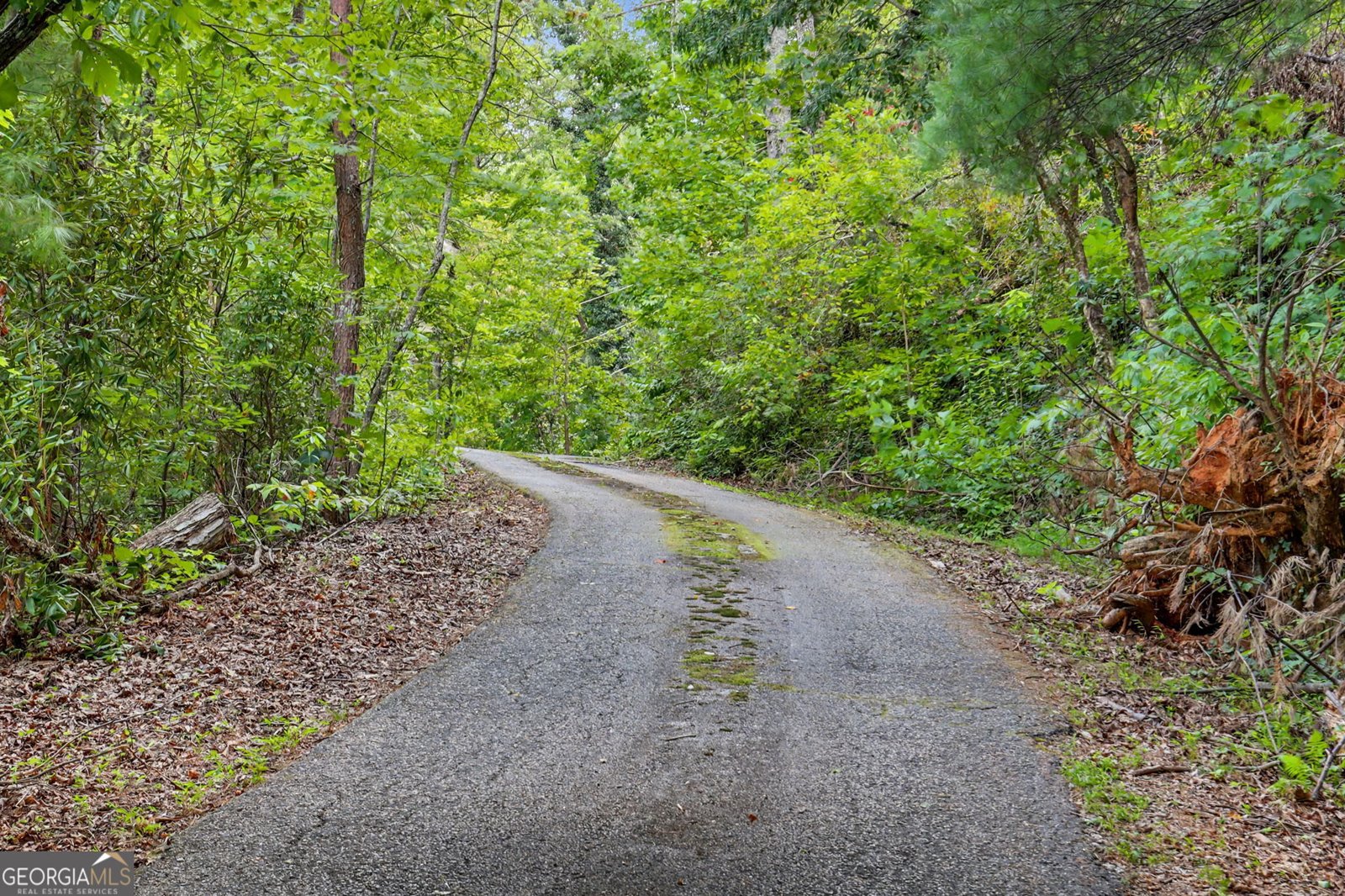 931 Timber Bluff Drive Clayton - Photo 49