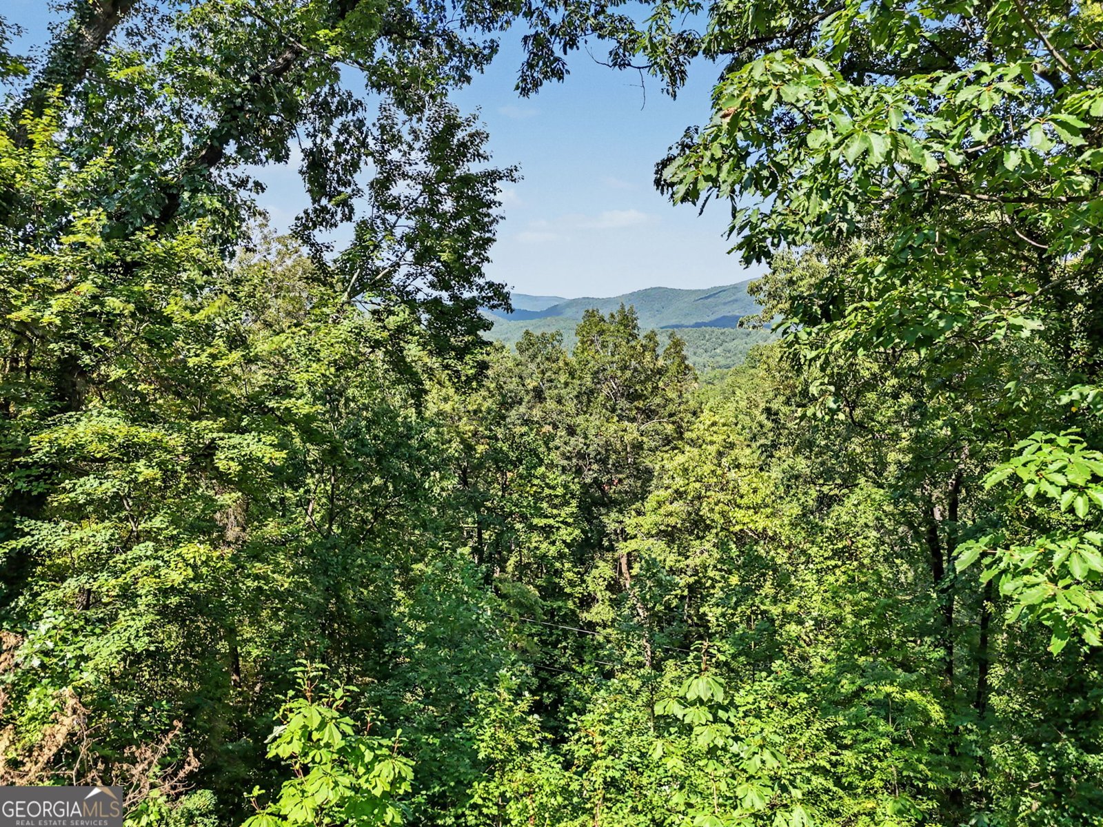 931 Timber Bluff Drive Clayton - Photo 51
