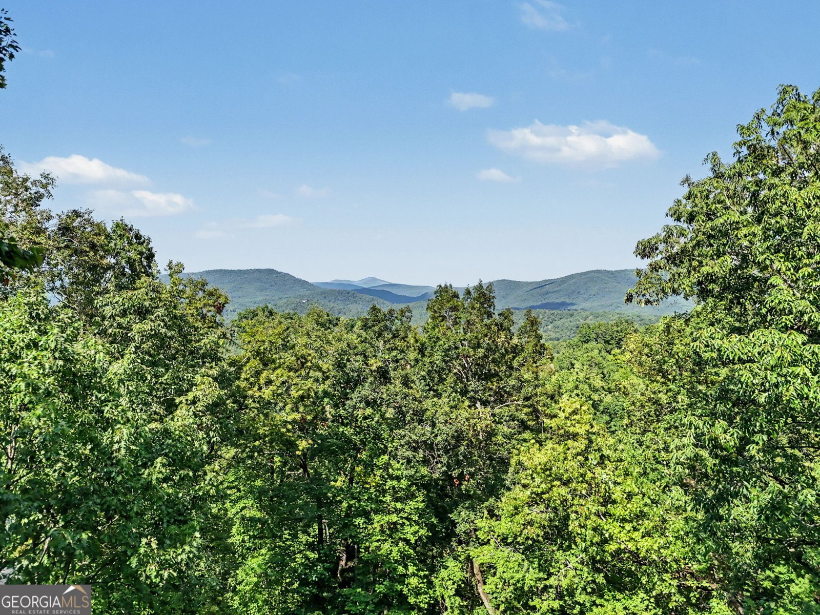 931 Timber Bluff Drive Clayton - Photo 52