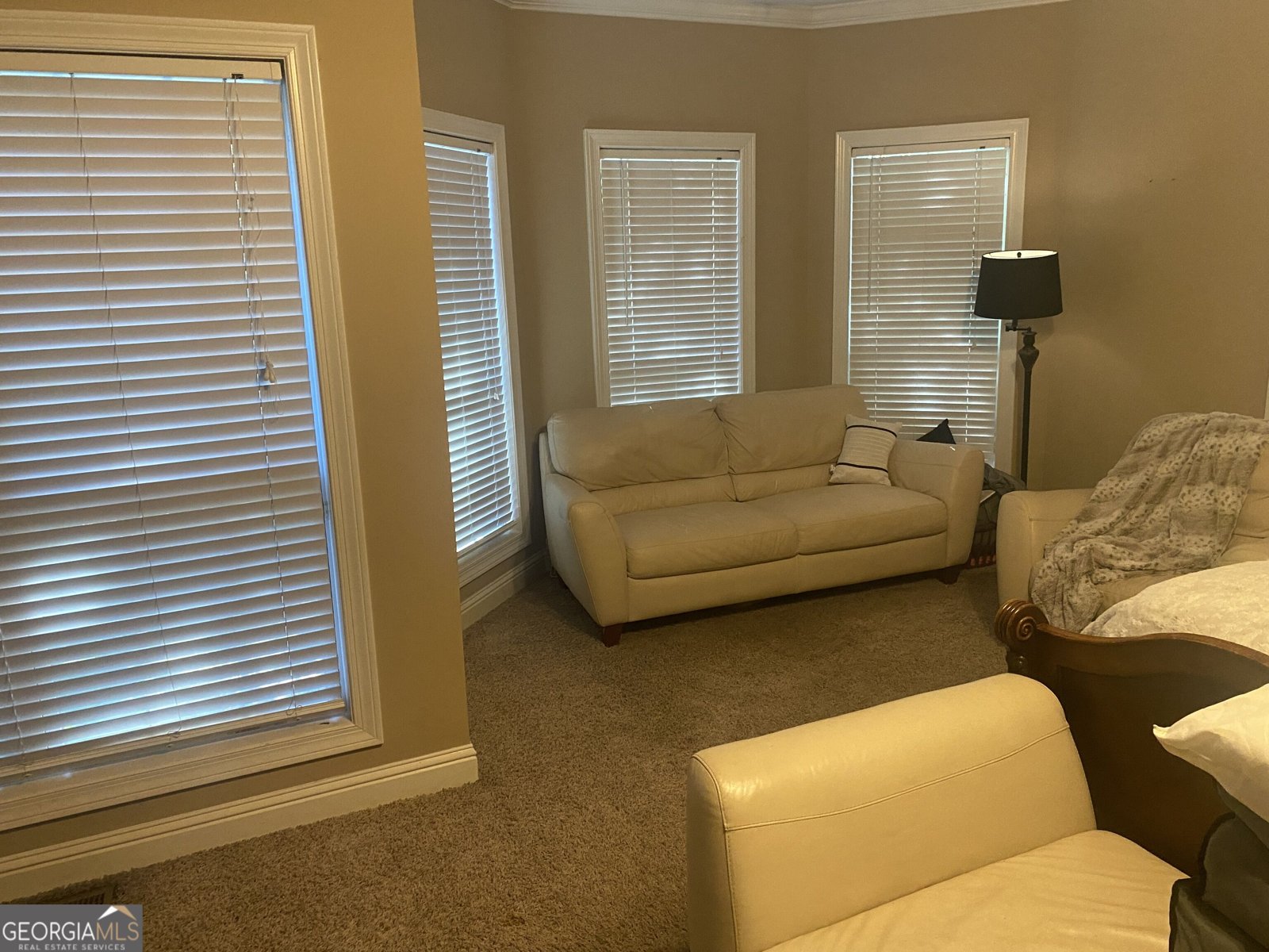 7391 Cherry Blossom Way Winston - Photo 33