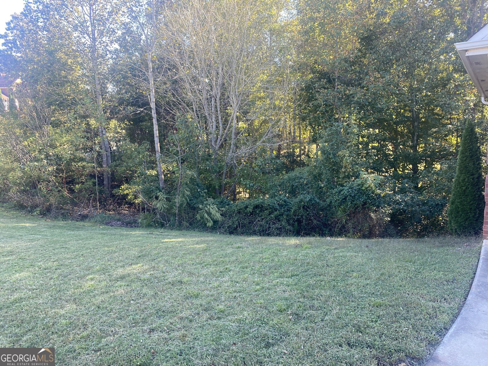 7391 Cherry Blossom Way Winston - Photo 8