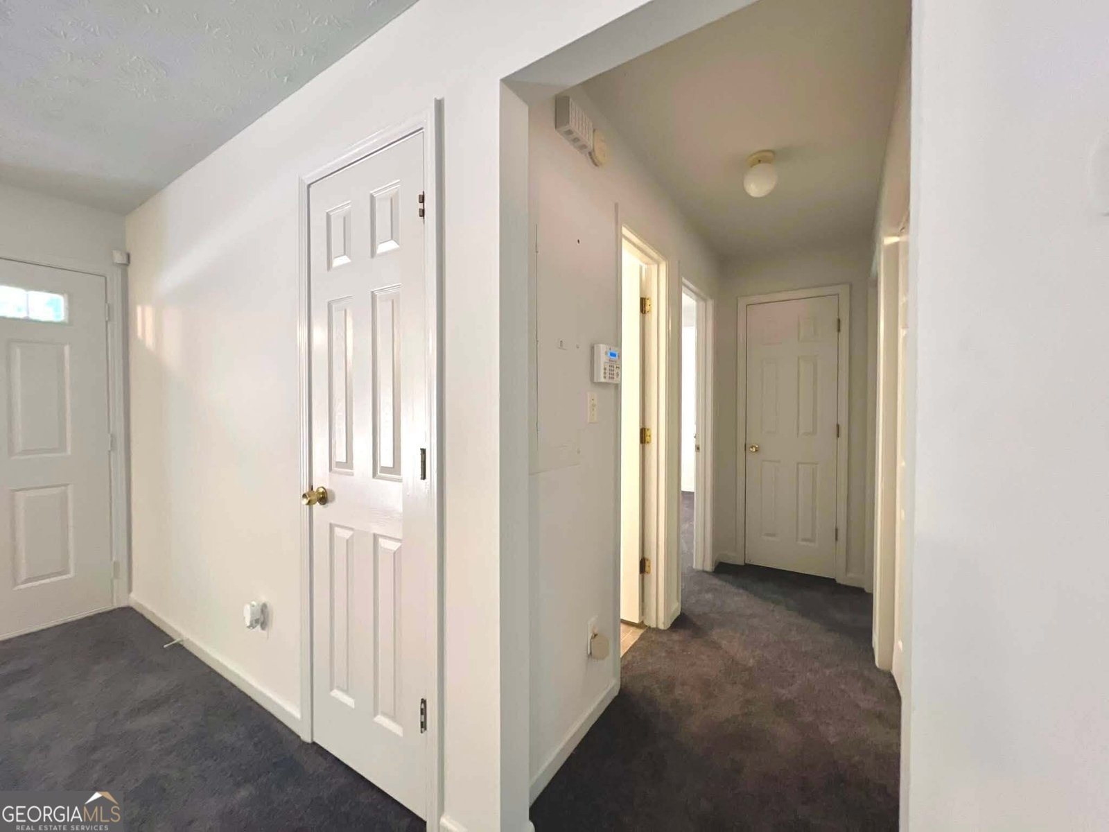 8062 Malone St. Douglasville - Photo 11