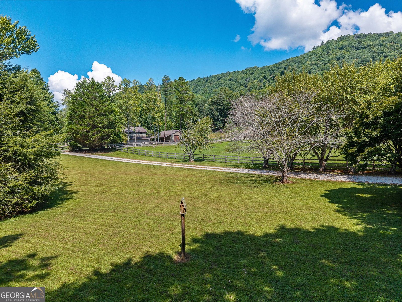 56 Napoleon Lane Tiger - Photo 46