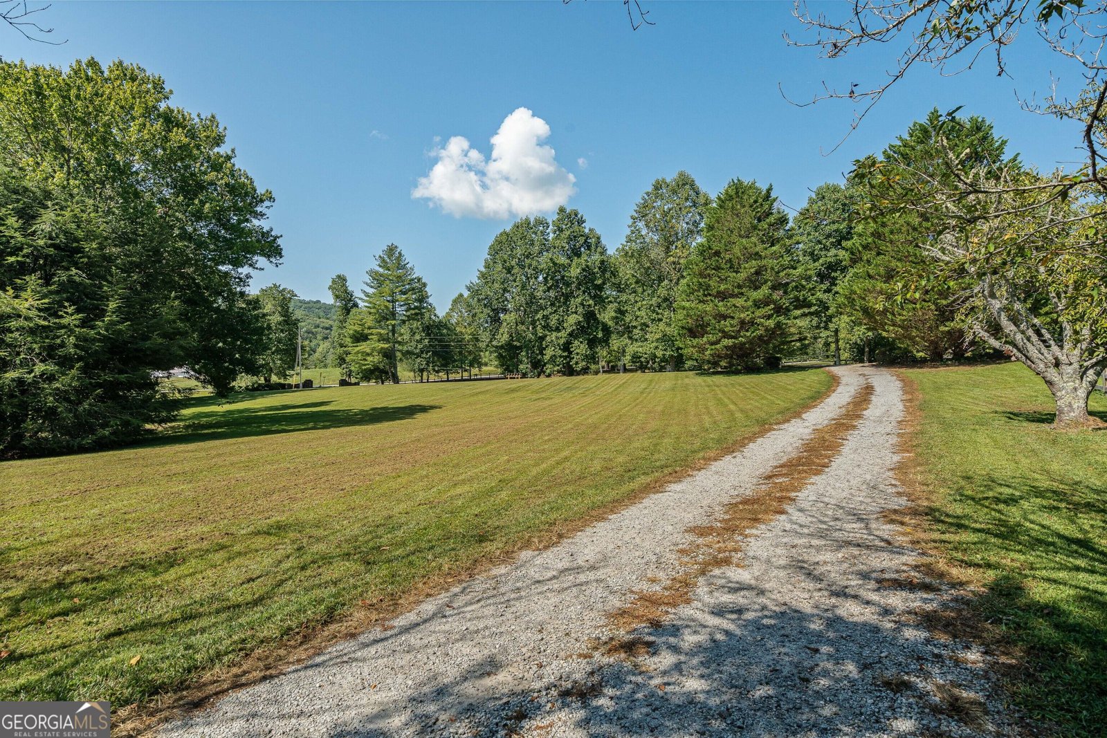56 Napoleon Lane Tiger - Photo 48