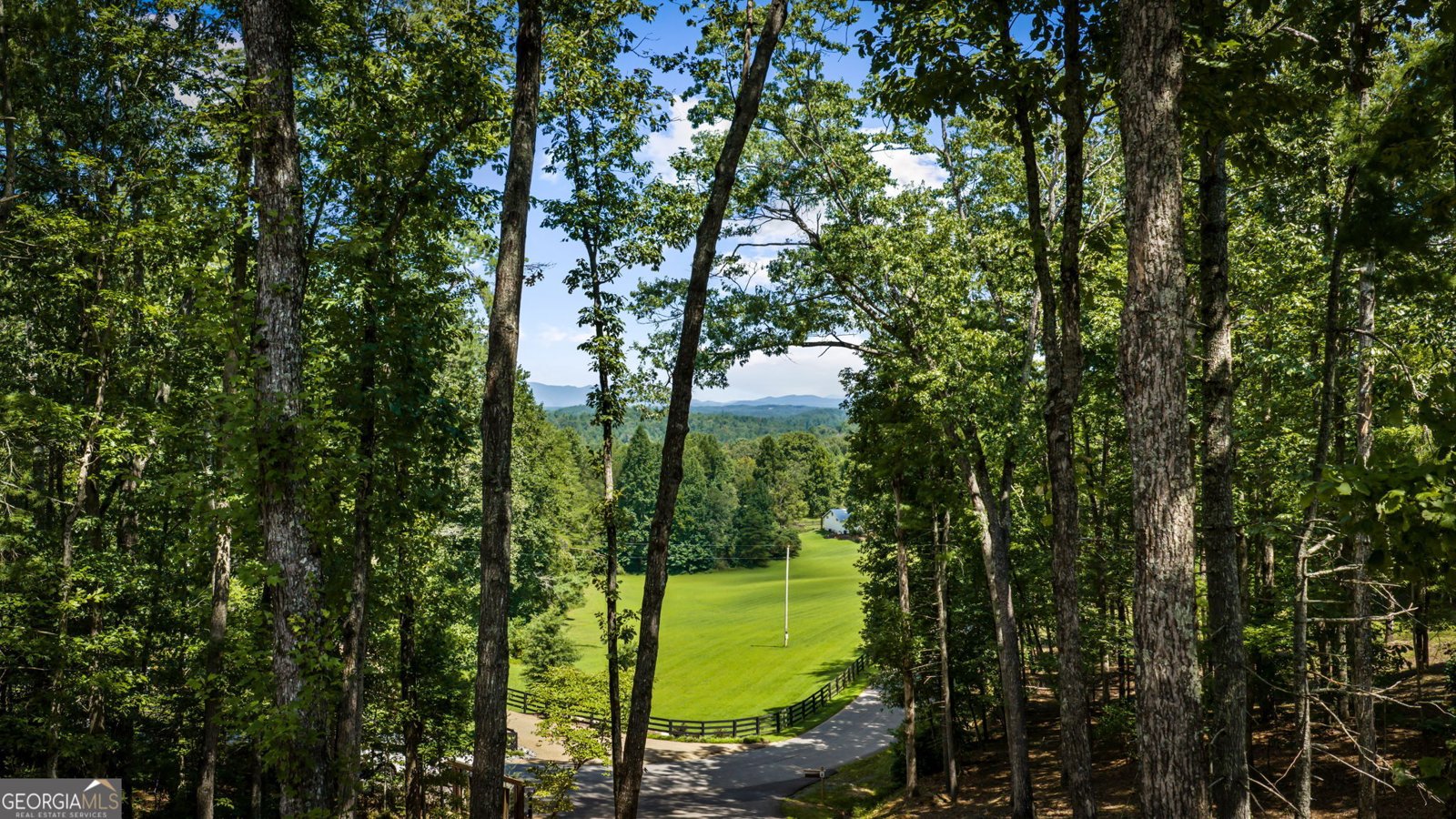60 OASIS Drive Blue Ridge - Photo 57