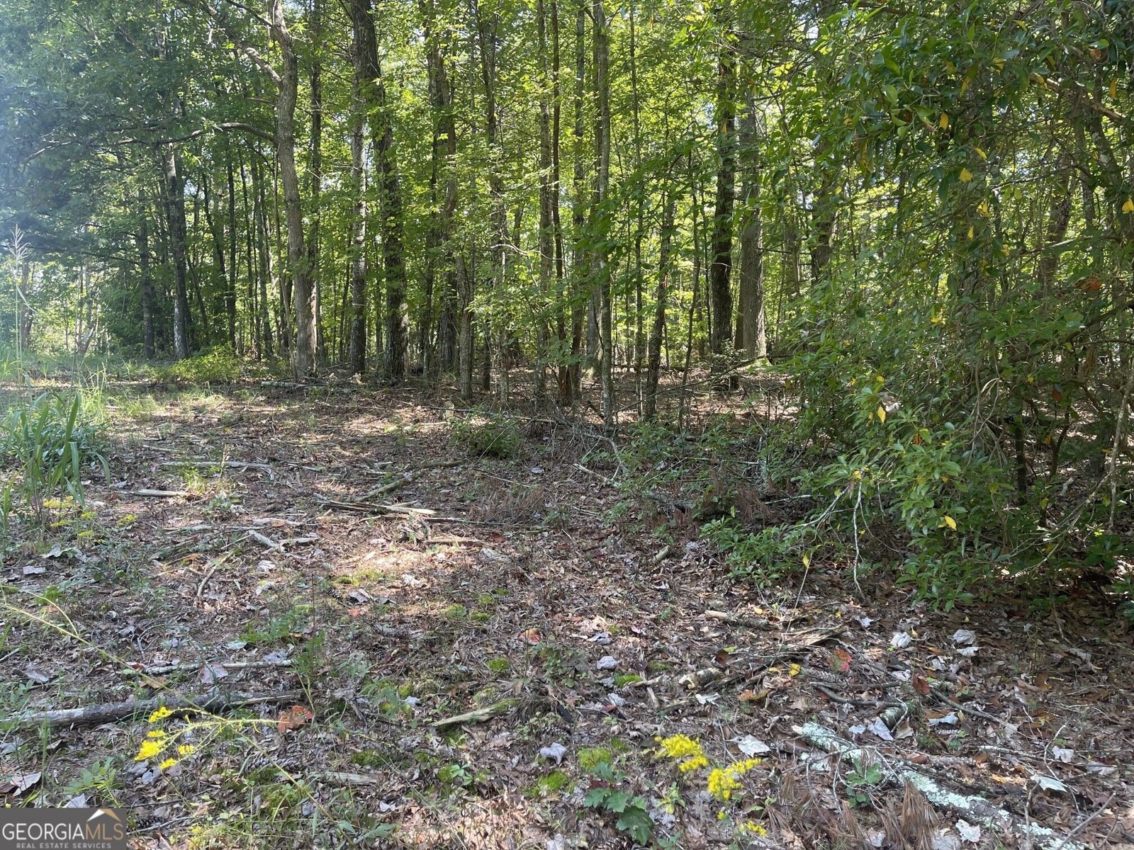 60 OASIS Drive Blue Ridge - Photo 64