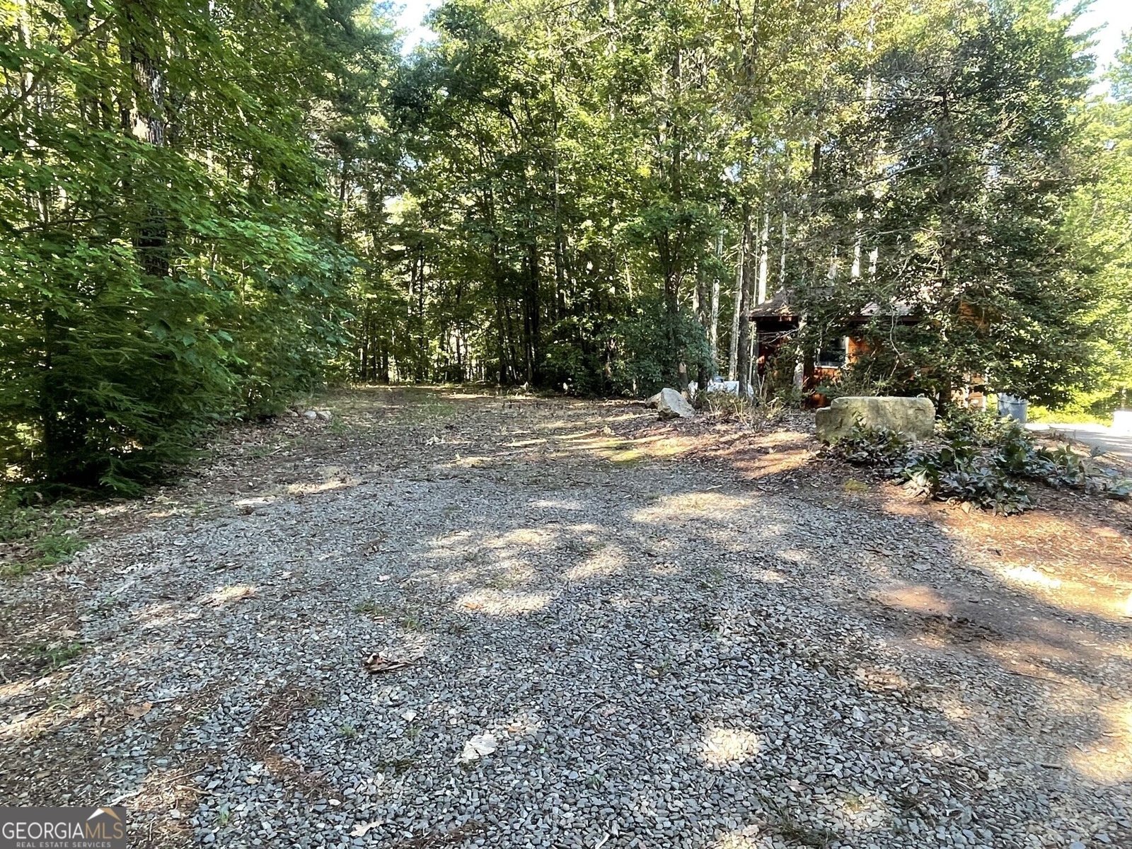 60 OASIS Drive Blue Ridge - Photo 65
