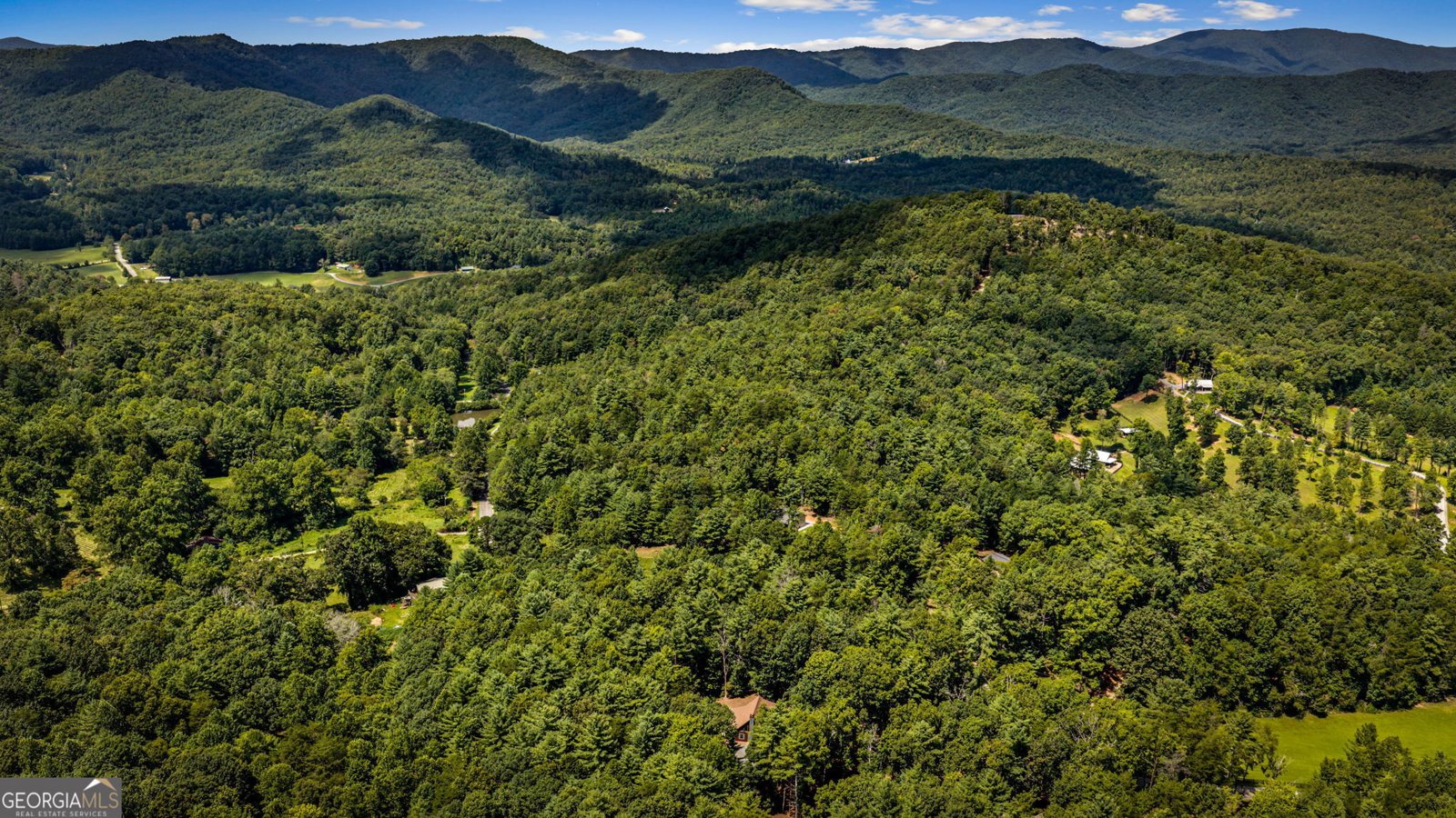 60 OASIS Drive Blue Ridge - Photo 79
