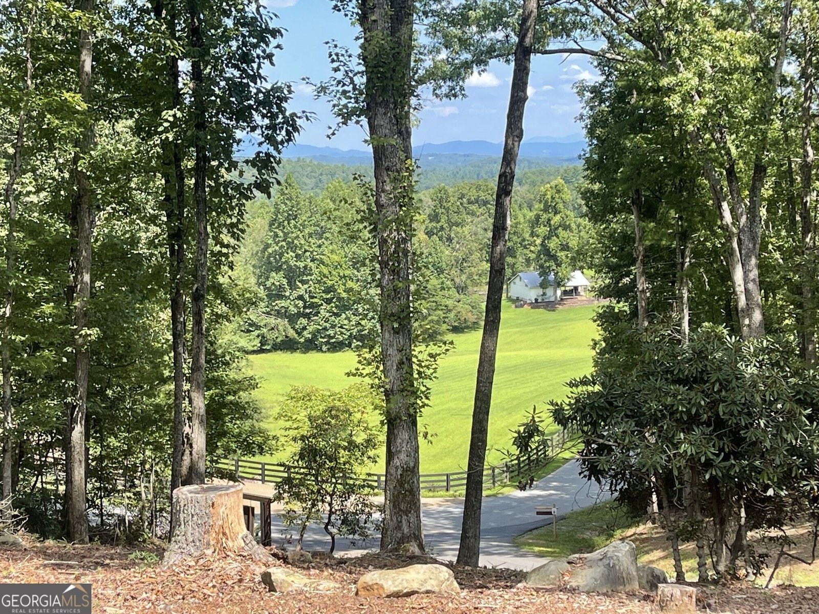 60 OASIS Drive Blue Ridge - Photo 9