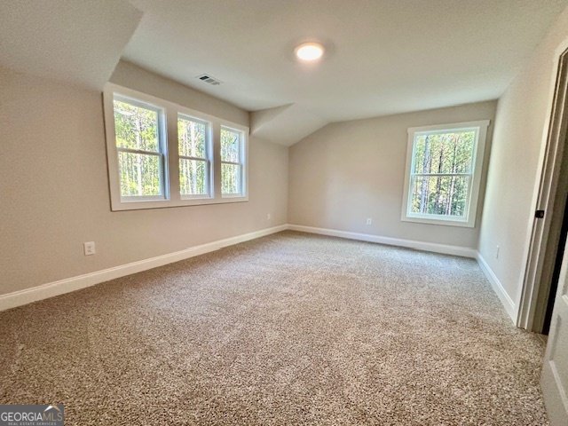 311 Mourning Court LaGrange - Photo 23