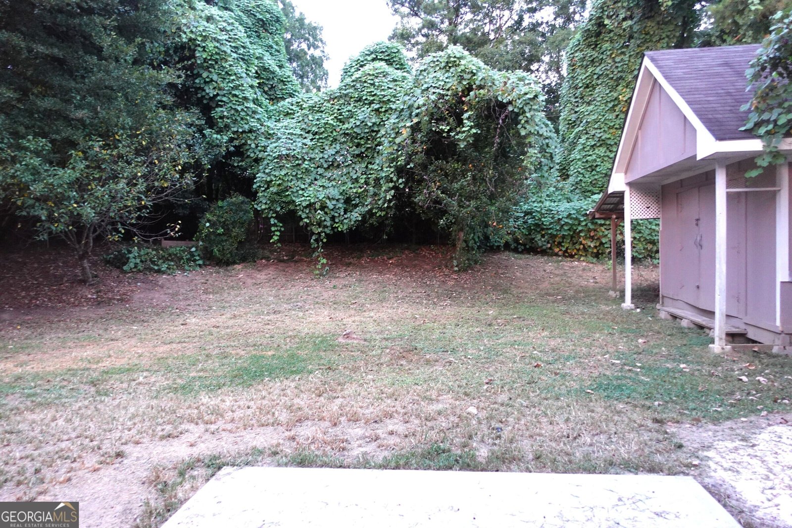 414 Harpy Eagle Drive Winder - Photo 28