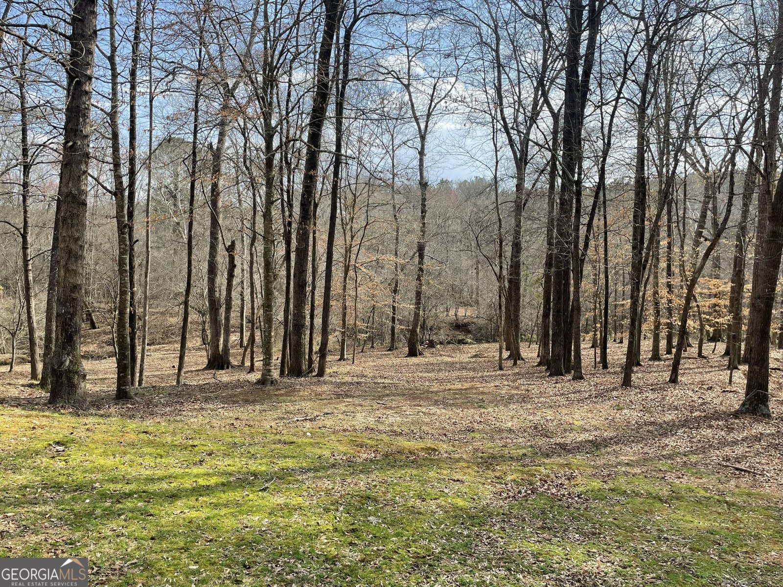 1171 River Run Bishop - Photo 15
